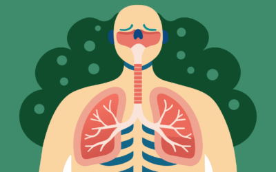 The Science of Breathing Techniques: How Your Breath Shapes Your Mind and Body