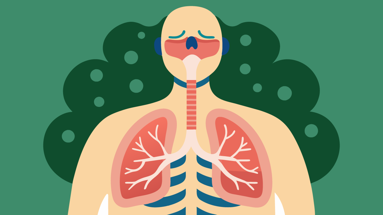 The Science of Breathing Techniques: How Your Breath Shapes Your Mind and Body